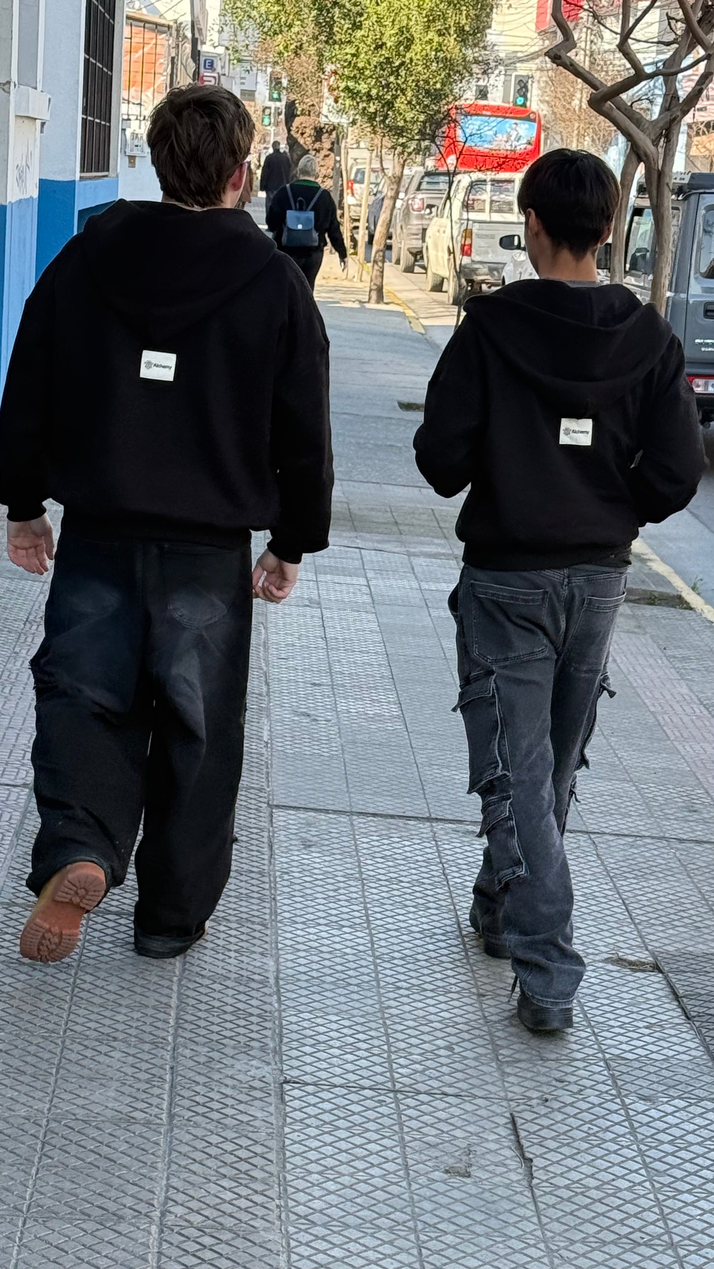 Poleron Alchemy Negro Boxy