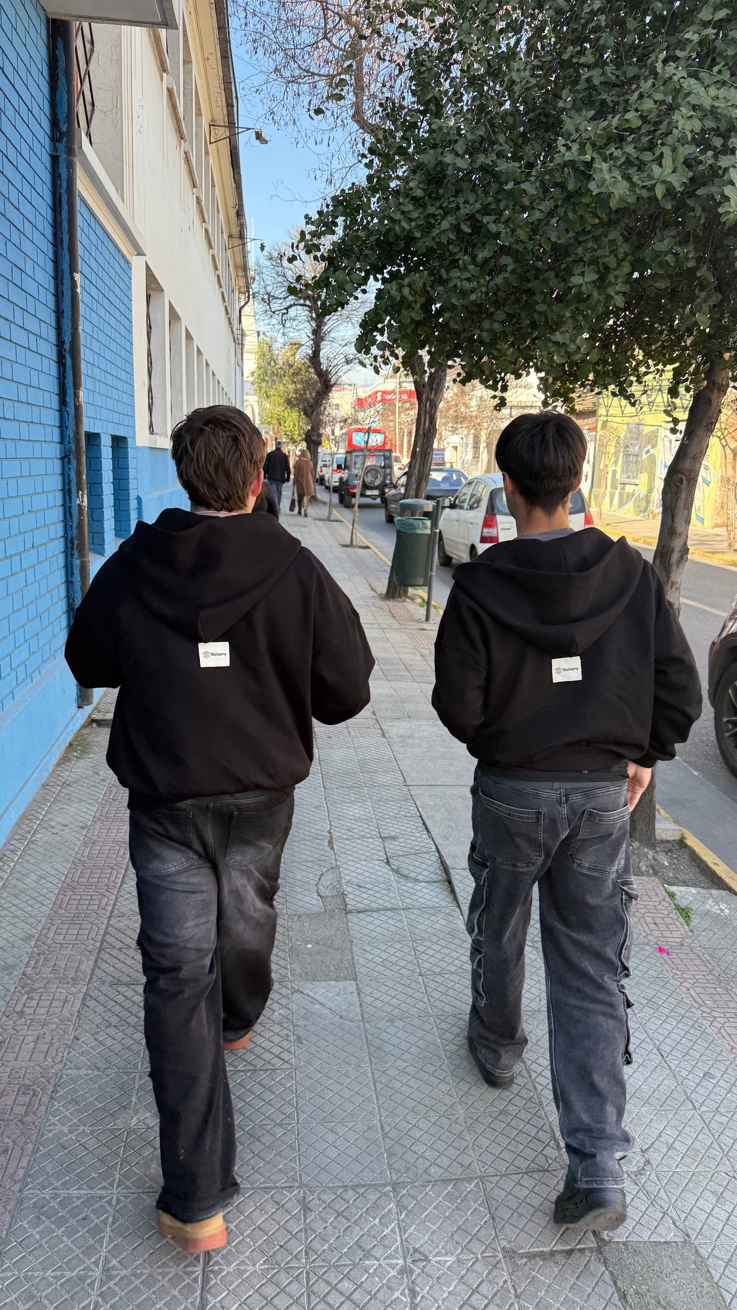 Poleron Alchemy Negro Boxy